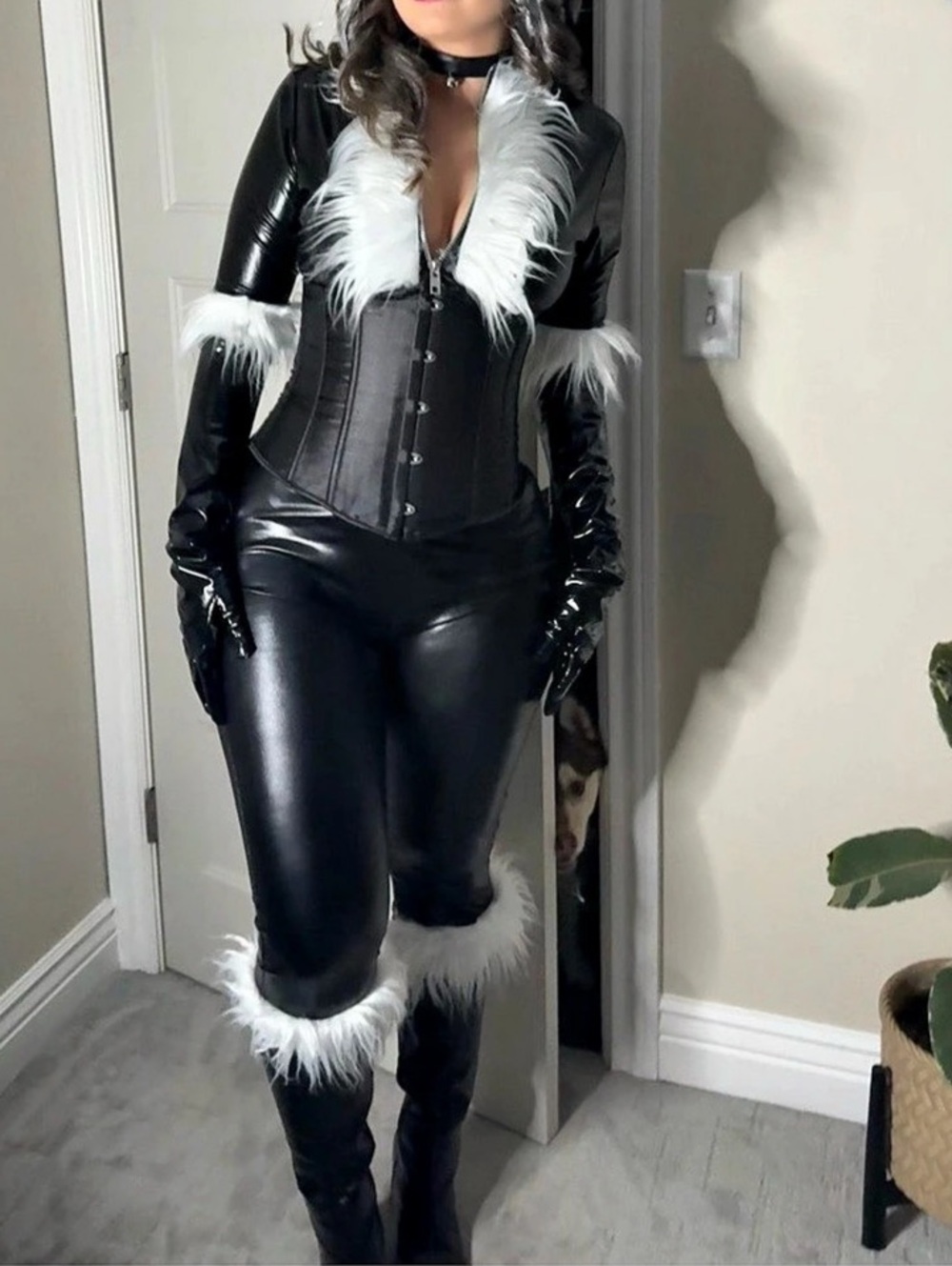 Black Cat Costume (Spider-Man)